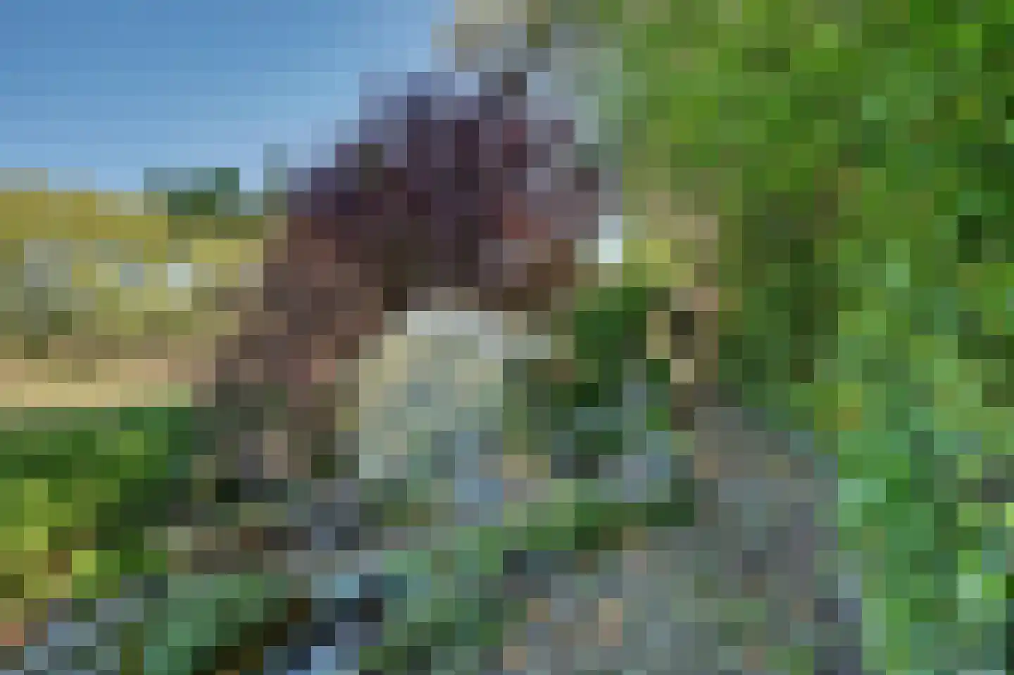 Strijensedijk 9 Mookhoek thumbnail 43