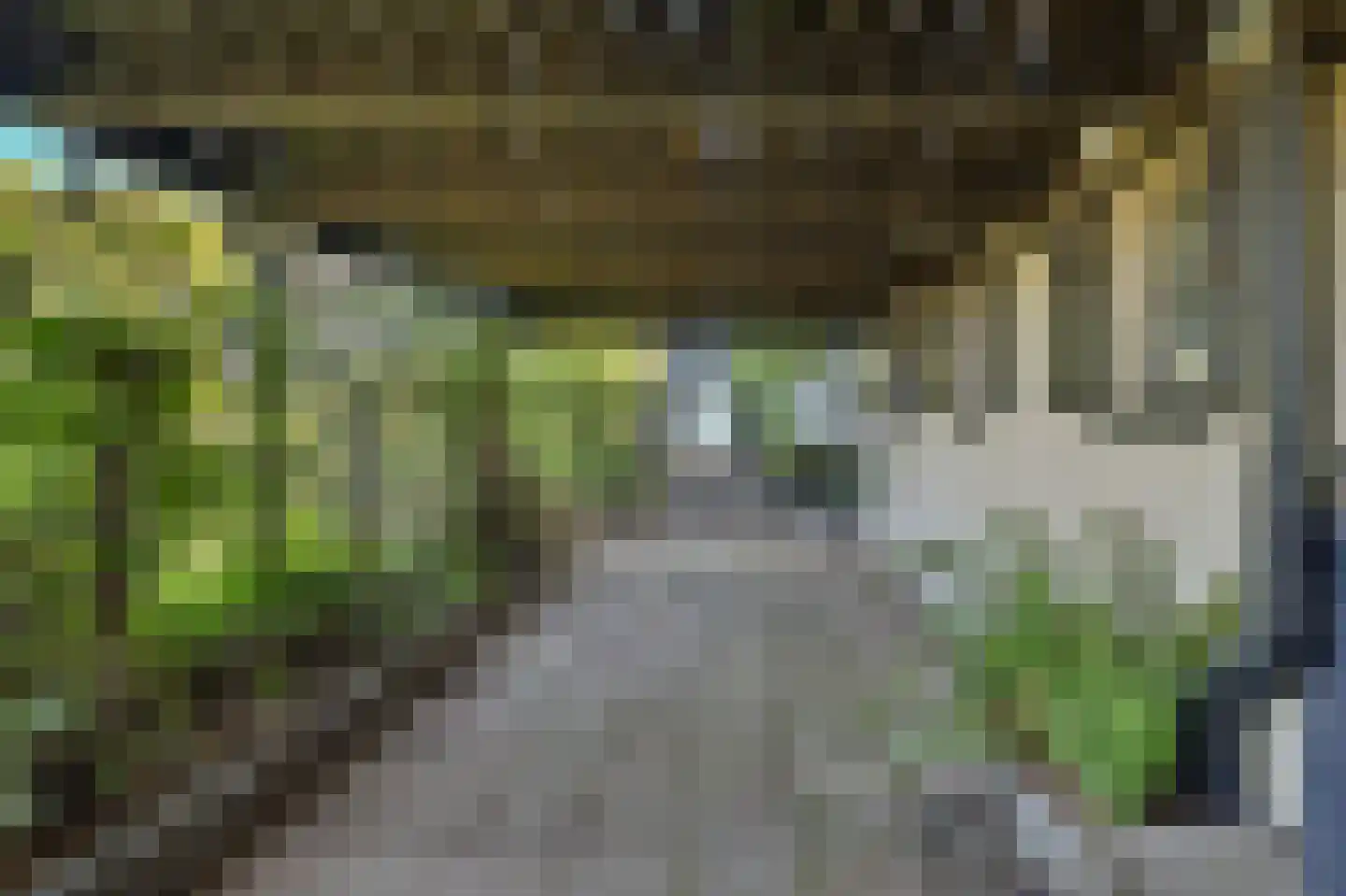 Strijensedijk 9 Mookhoek thumbnail 44