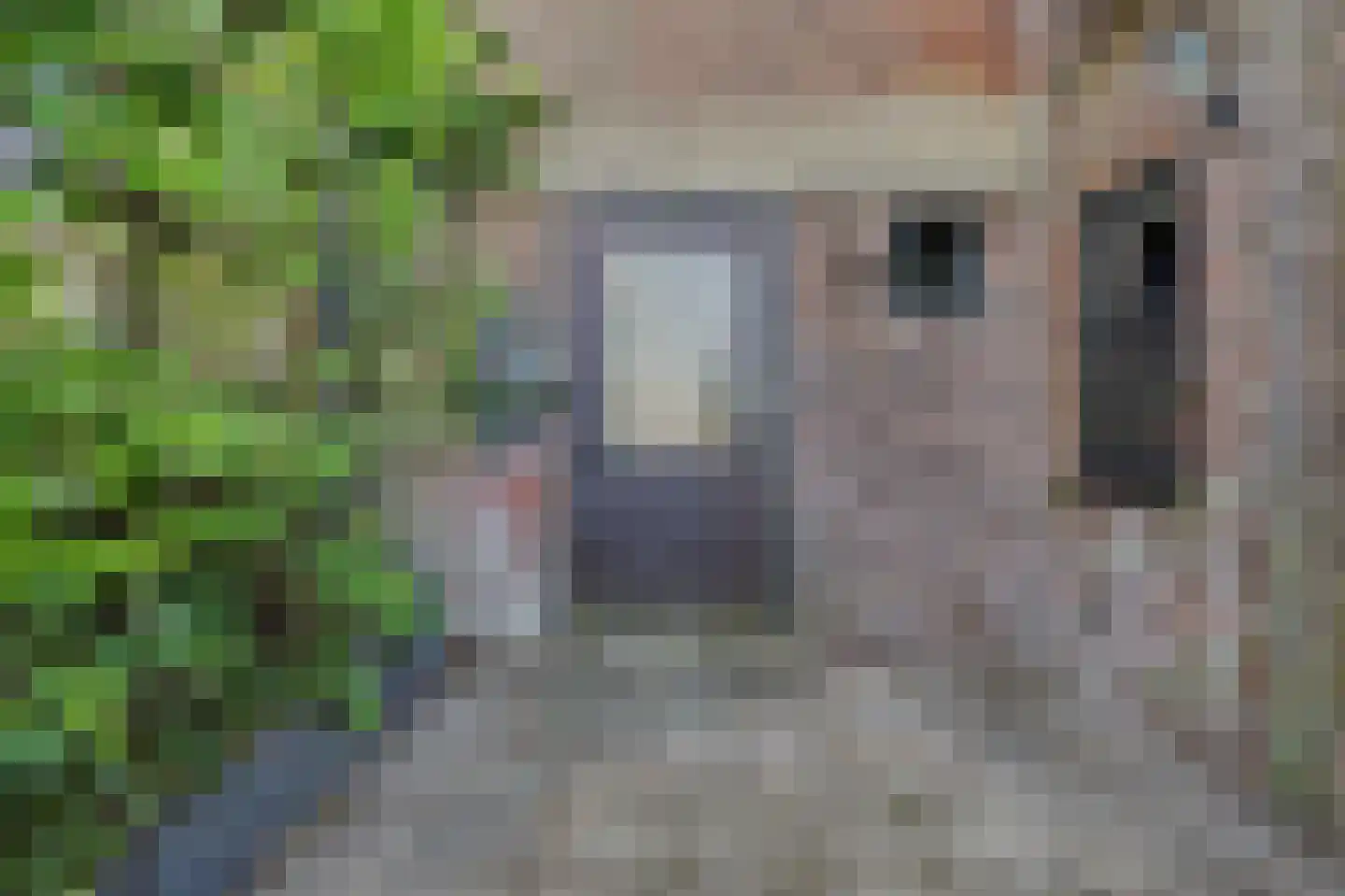 Strijensedijk 9 Mookhoek thumbnail 45