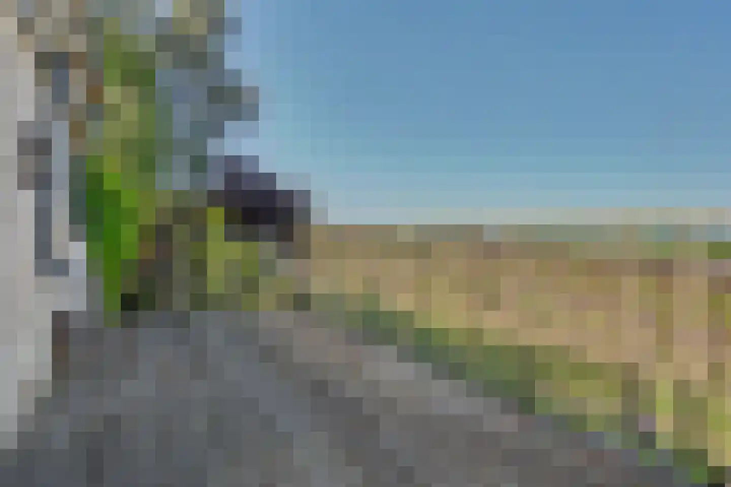 Strijensedijk 9 Mookhoek thumbnail 49