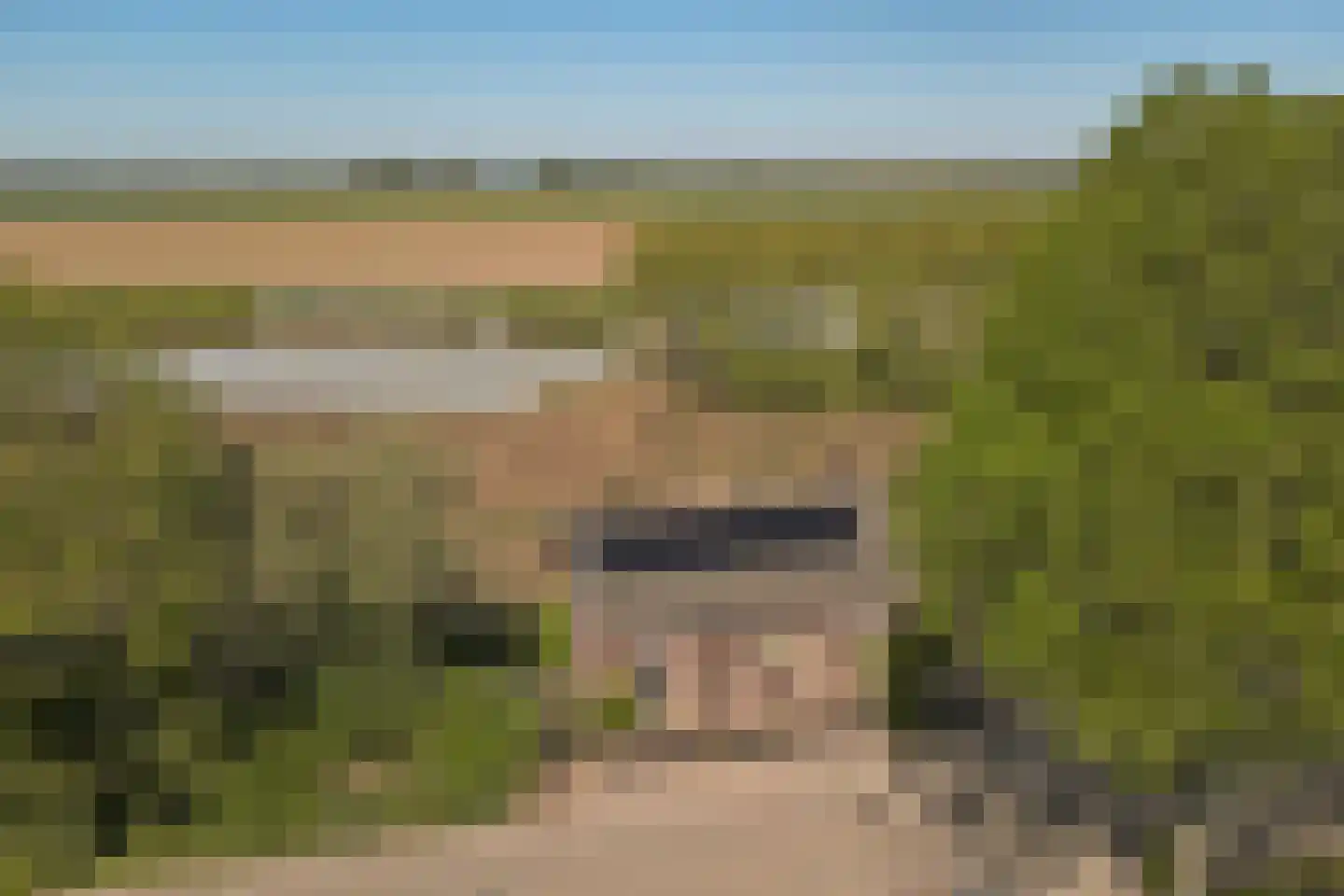 Strijensedijk 9 Mookhoek thumbnail 51
