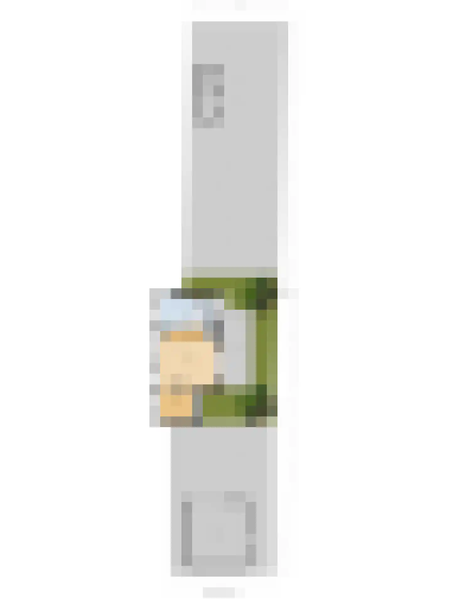 Strijensedijk 9 Mookhoek thumbnail 65
