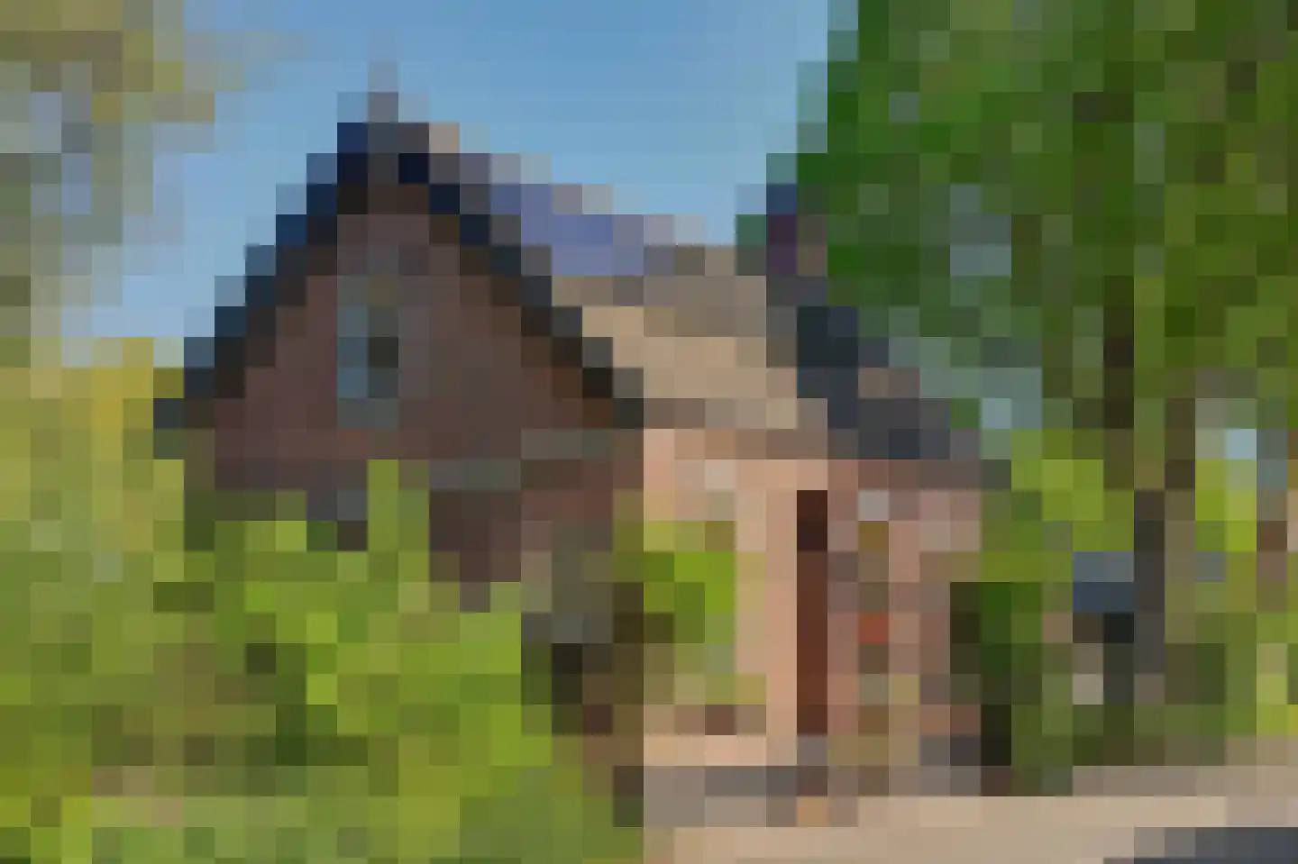 Strijensedijk 9 Mookhoek thumbnail 7