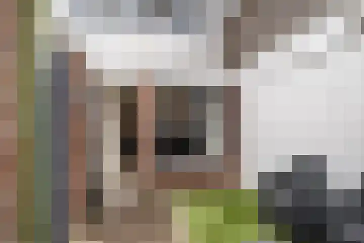 Strijensestraat 24 Schiedam thumbnail 15