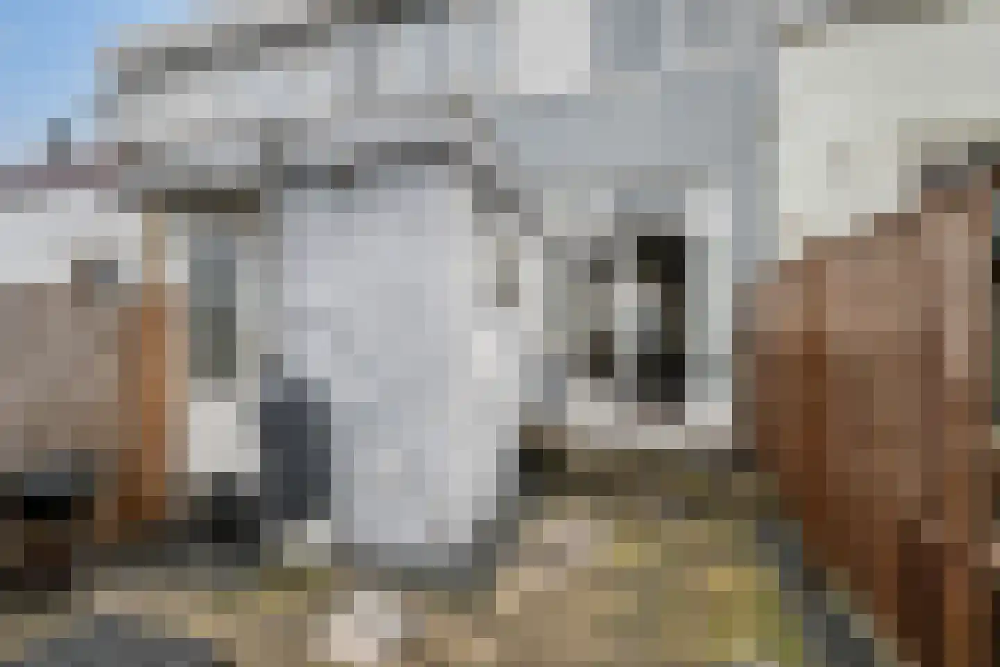 Strijensestraat 44 Schiedam thumbnail 14