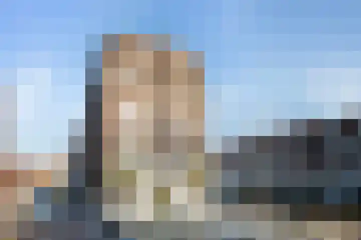 Strijensestraat 70 B Rotterdam thumbnail 42