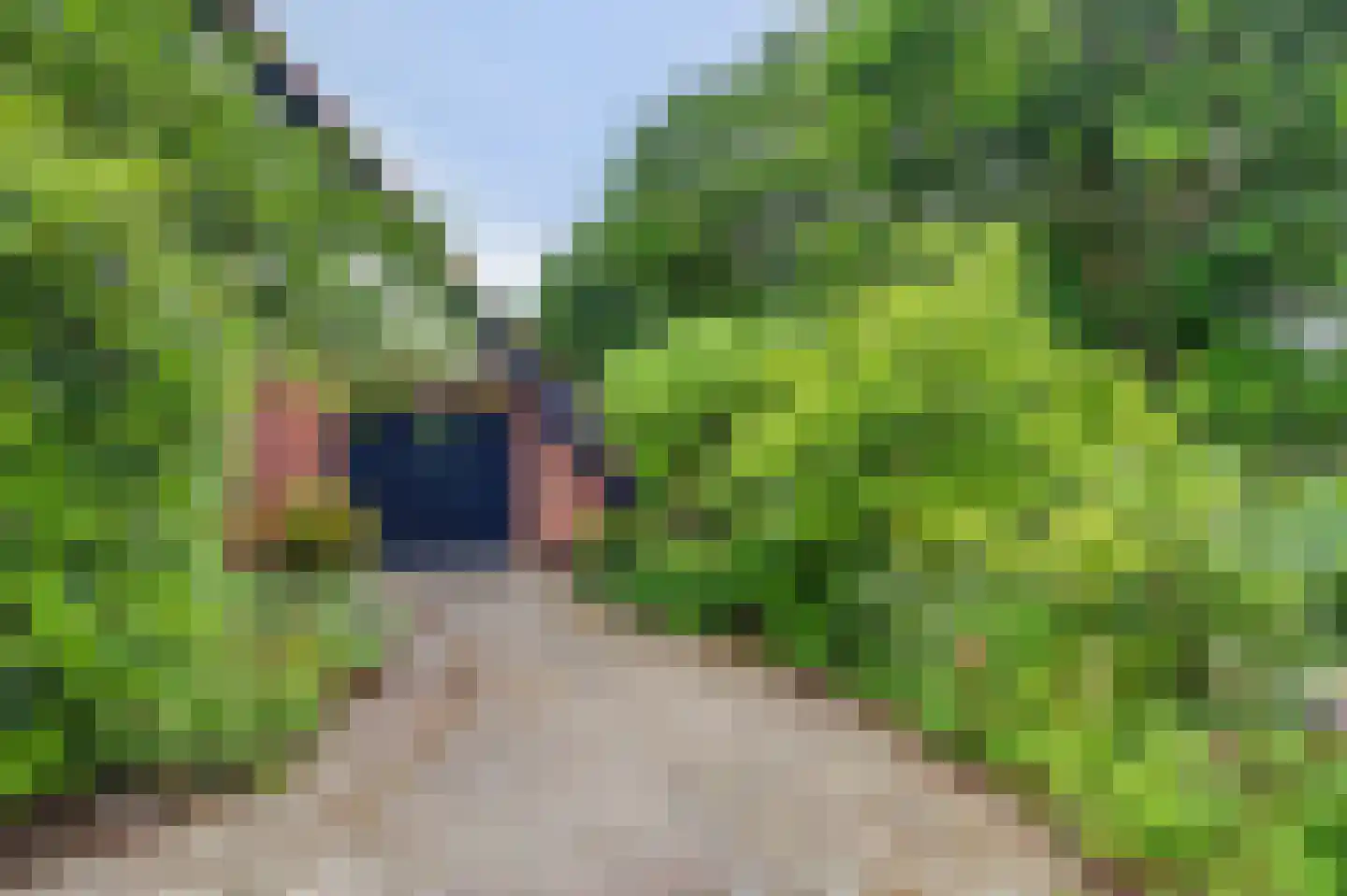 Strijenseweg 106 's-Gravendeel thumbnail 36