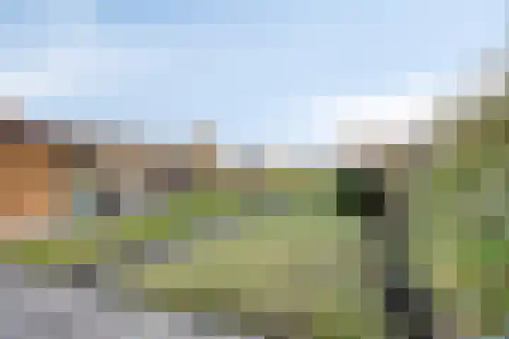 Strijenseweg 130 's-Gravendeel thumbnail 24