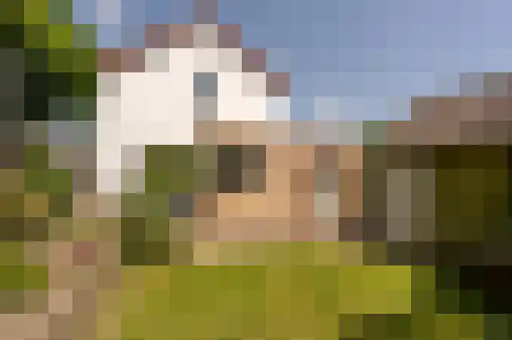 Strijenseweg 140 's-Gravendeel thumbnail 36