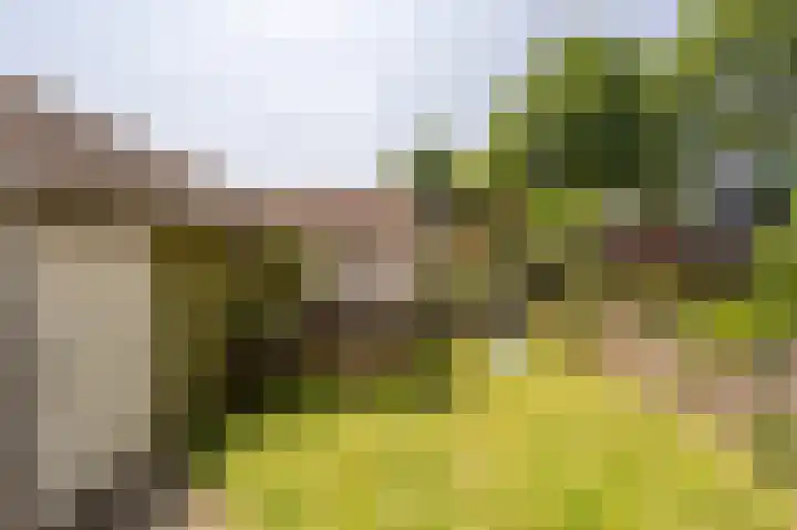 Strijenseweg 140 's-Gravendeel thumbnail 38