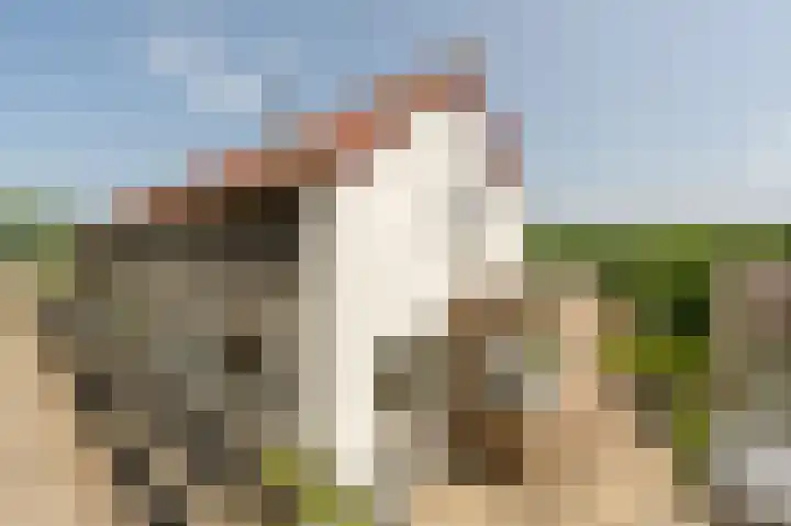Strijenseweg 140 's-Gravendeel thumbnail 48