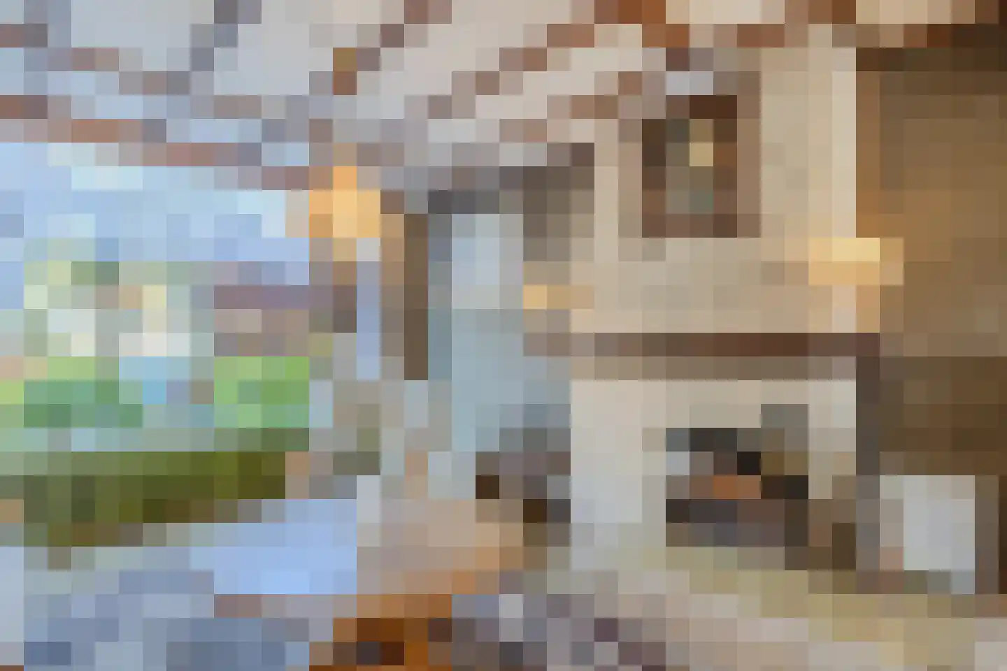 Strijenstraat 12 Rijen thumbnail 10