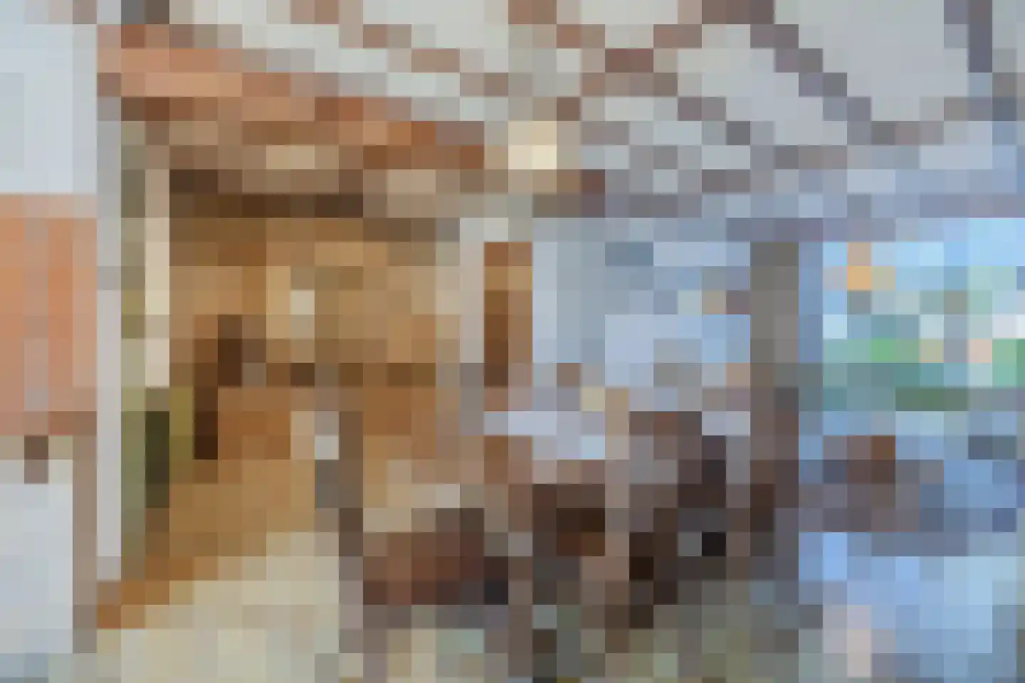 Strijenstraat 12 Rijen thumbnail 15