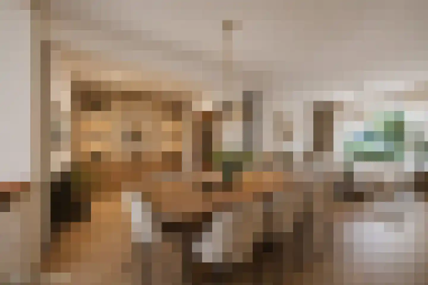 Strijenstraat 12 Rijen thumbnail 16