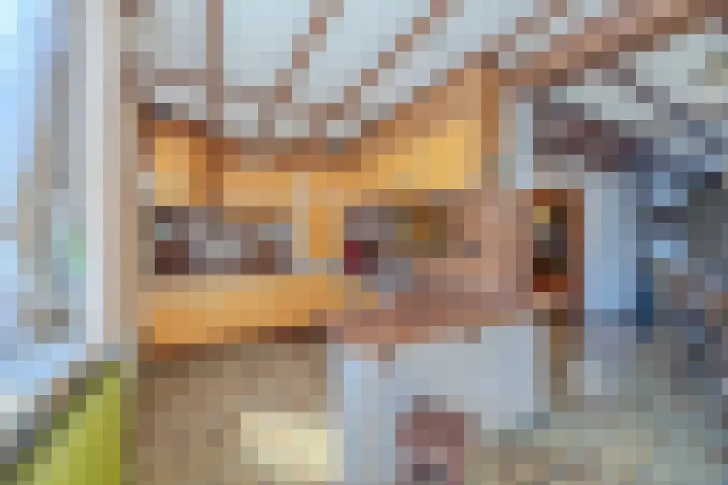 Strijenstraat 12 Rijen thumbnail 18