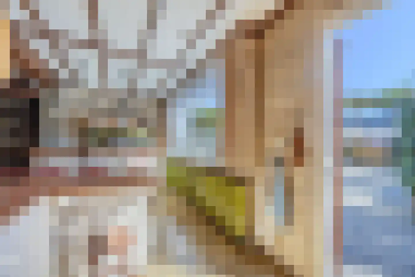 Strijenstraat 12 Rijen thumbnail 24