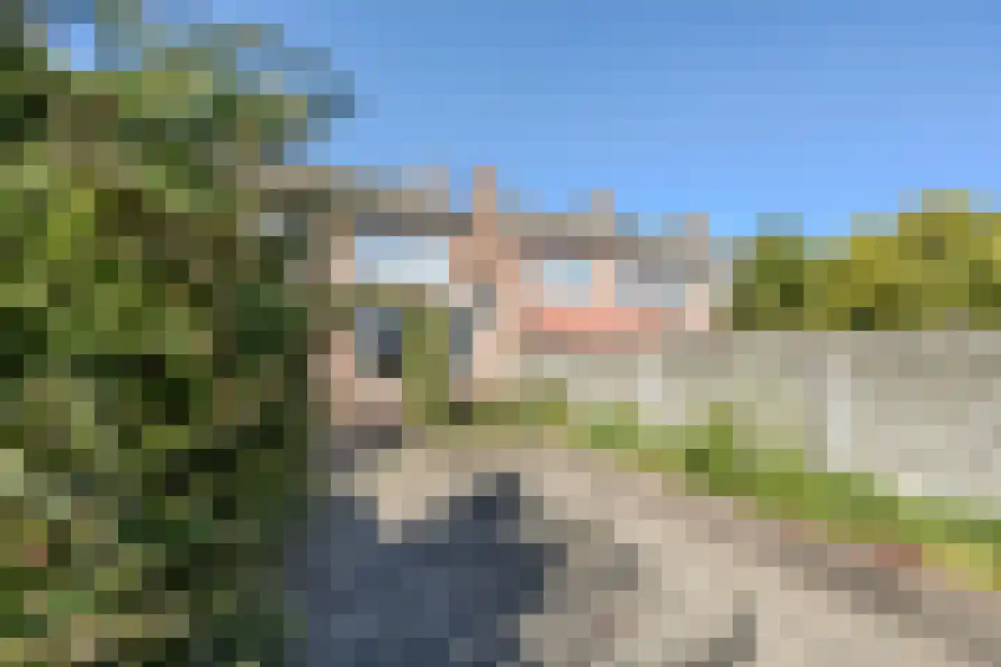 Strijenstraat 12 Rijen thumbnail 27