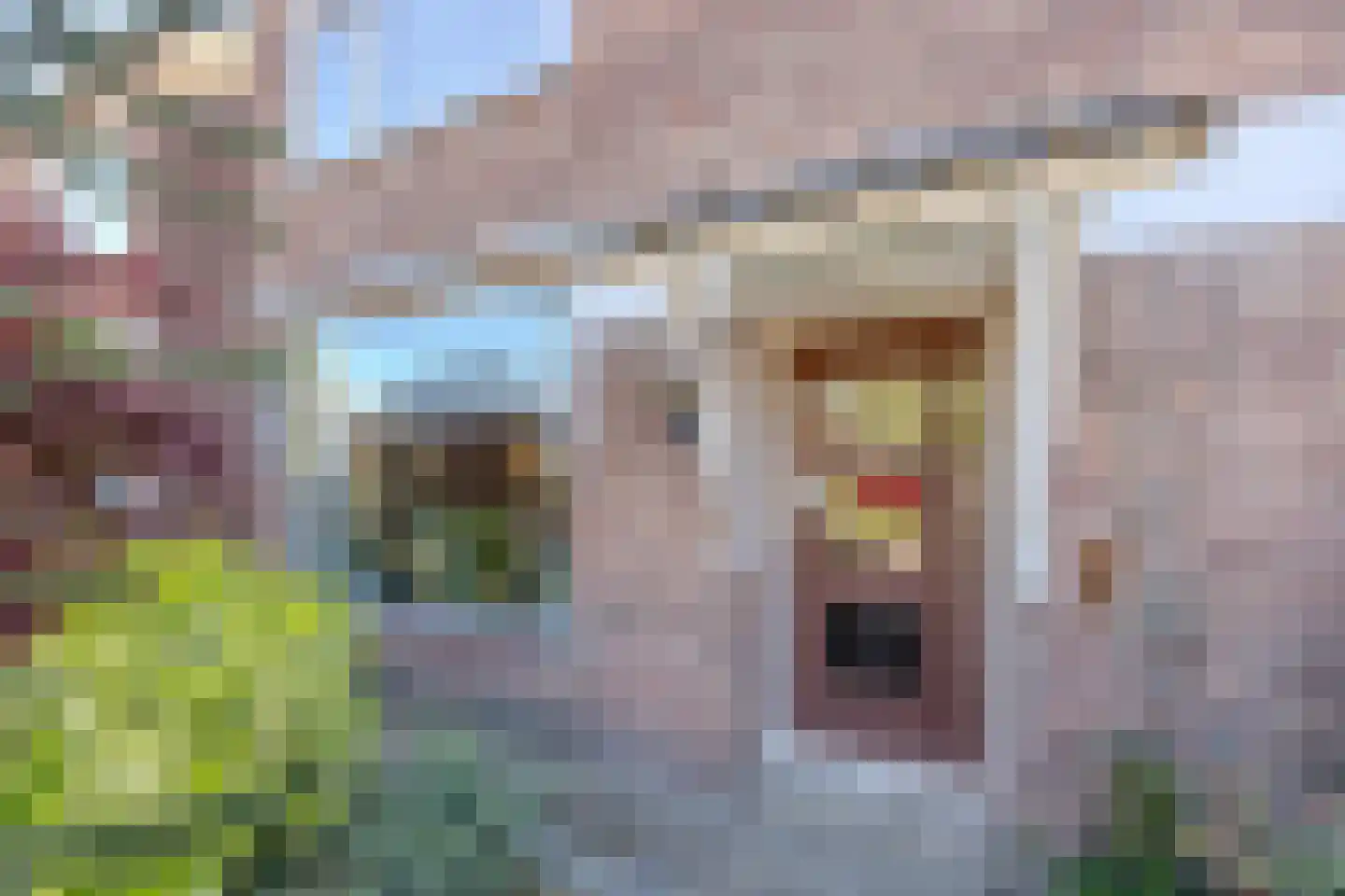 Strijenstraat 12 Rijen thumbnail 5