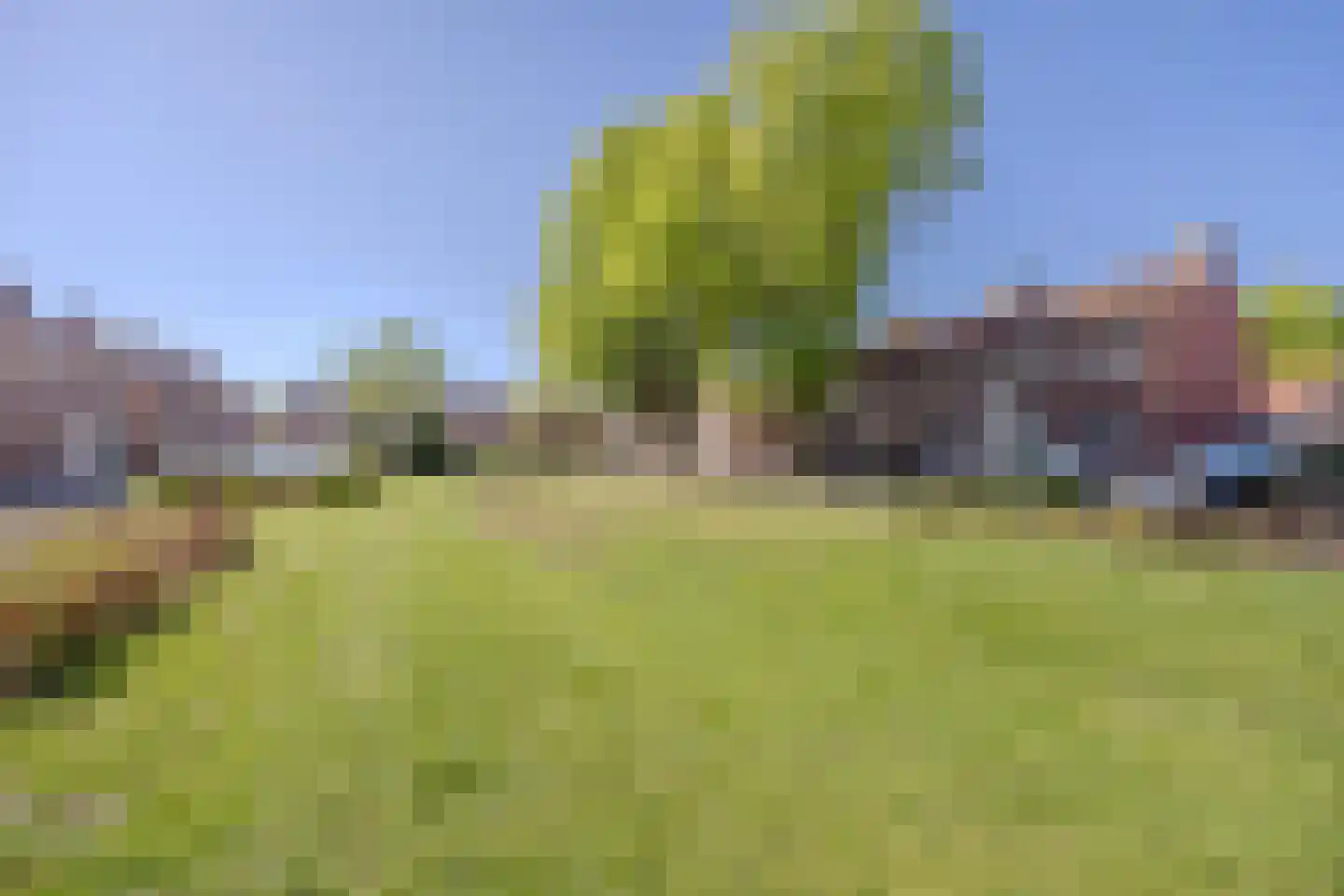 Strijenstraat 12 Rijen thumbnail 50
