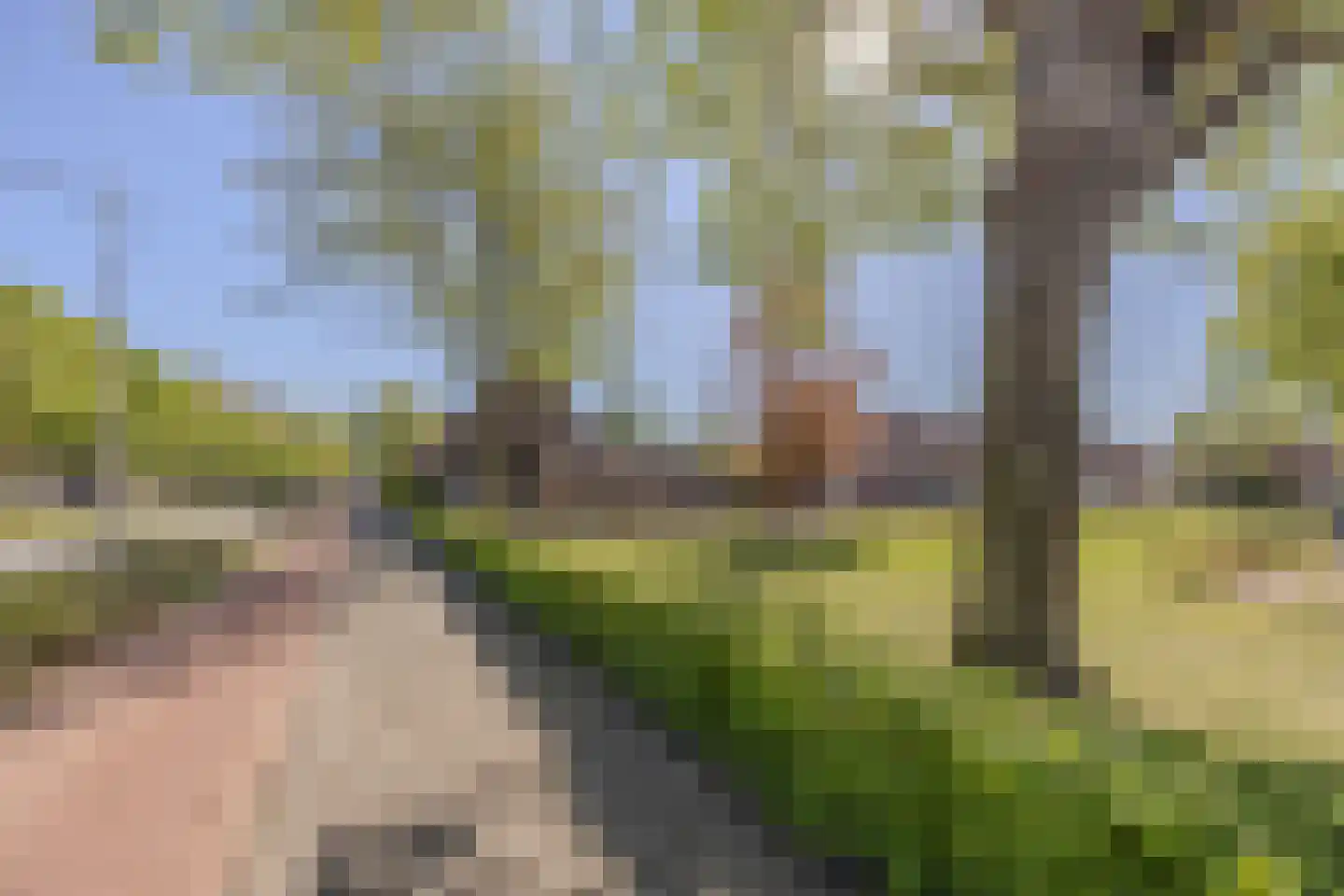Strijenstraat 12 Rijen thumbnail 51