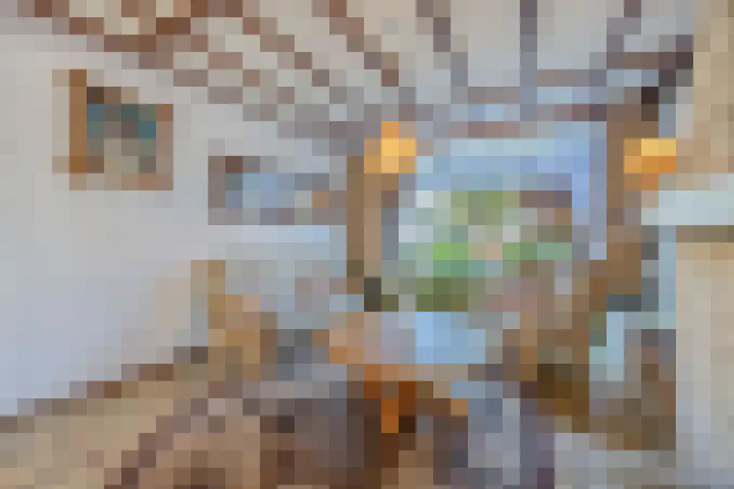 Strijenstraat 12 Rijen thumbnail 8