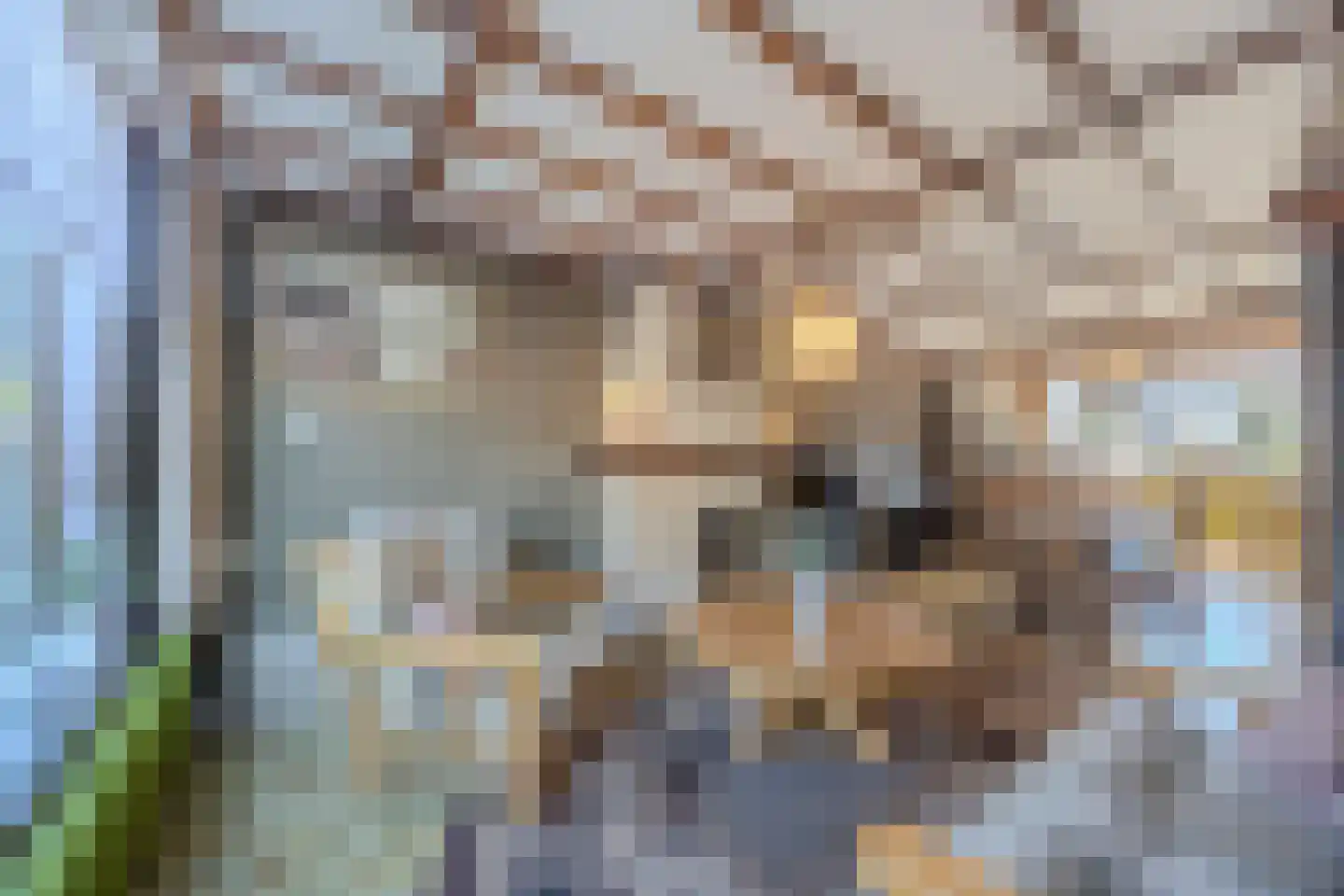 Strijenstraat 12 Rijen thumbnail 9
