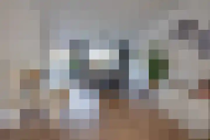 Strijenstraat 13 Rijen thumbnail 13