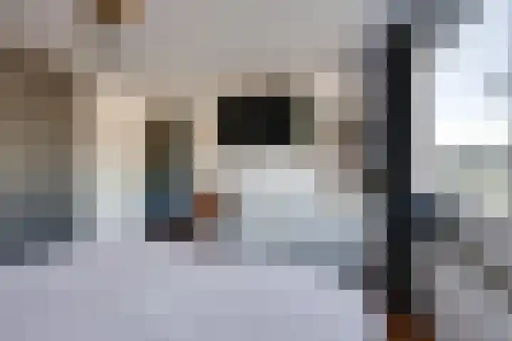 Strijenstraat 13 Rijen thumbnail 27