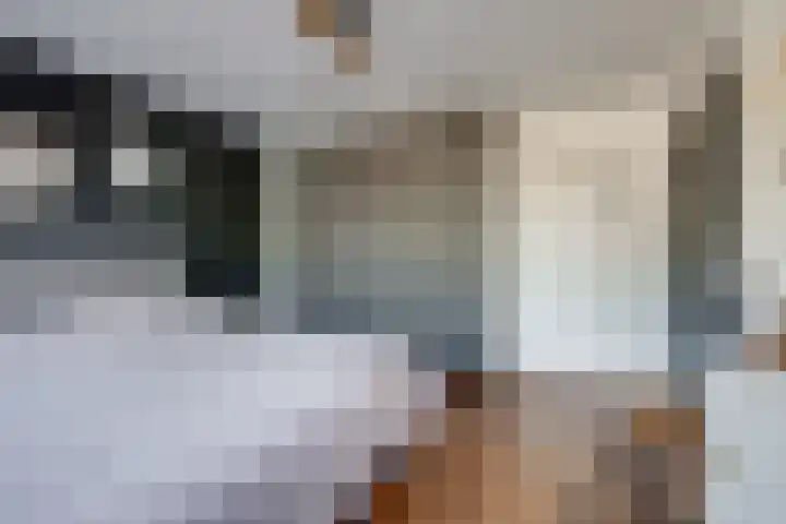 Strijenstraat 13 Rijen thumbnail 28