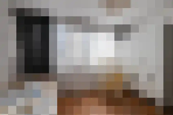 Strijenstraat 13 Rijen thumbnail 31