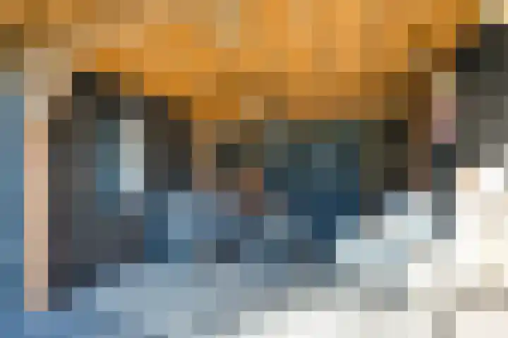 Strijenstraat 13 Rijen thumbnail 40