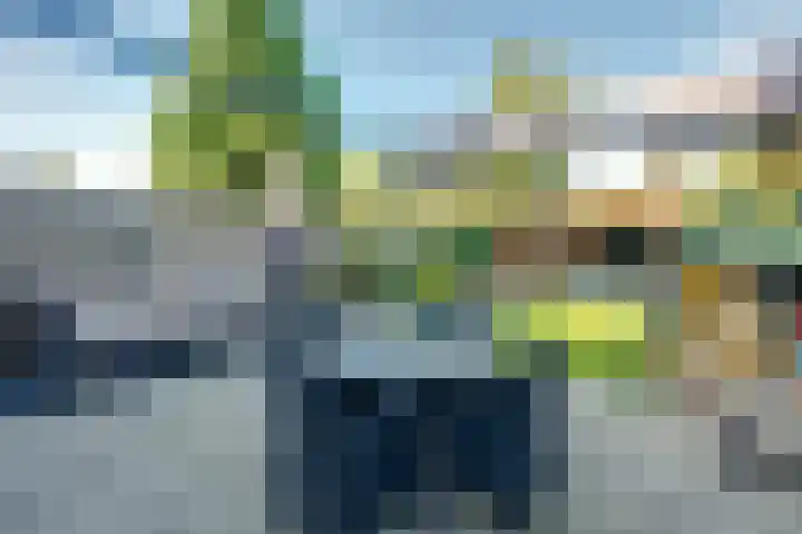 Strijenstraat 13 Rijen thumbnail 41