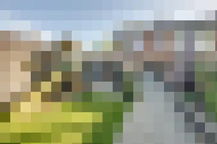 Strijenstraat 13 Rijen thumbnail 43