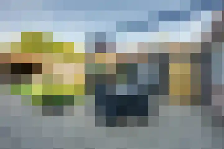 Strijenstraat 13 Rijen thumbnail 45