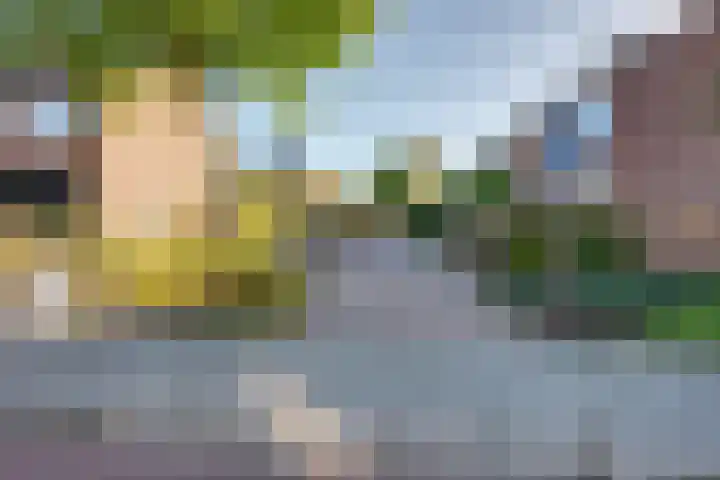 Strijenstraat 13 Rijen thumbnail 46