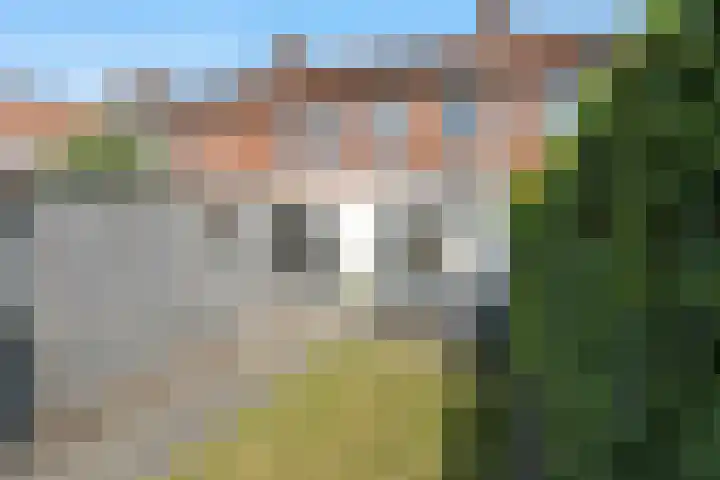 Strijenstraat 23 Oosterhout thumbnail 27