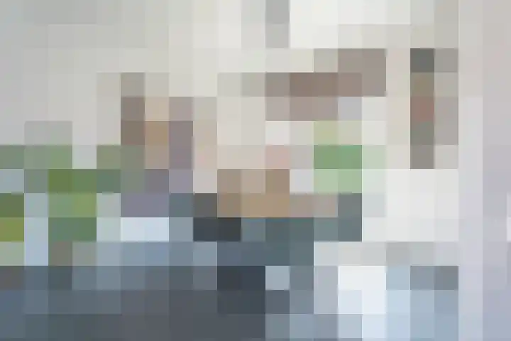Strijenstraat 23 Oosterhout thumbnail 6