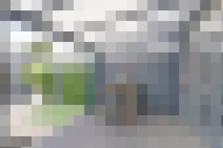 Strijenstraat 32 Oosterhout thumbnail 22