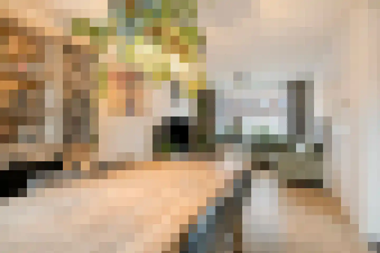 Strijenstraat 49 Oosterhout thumbnail 10