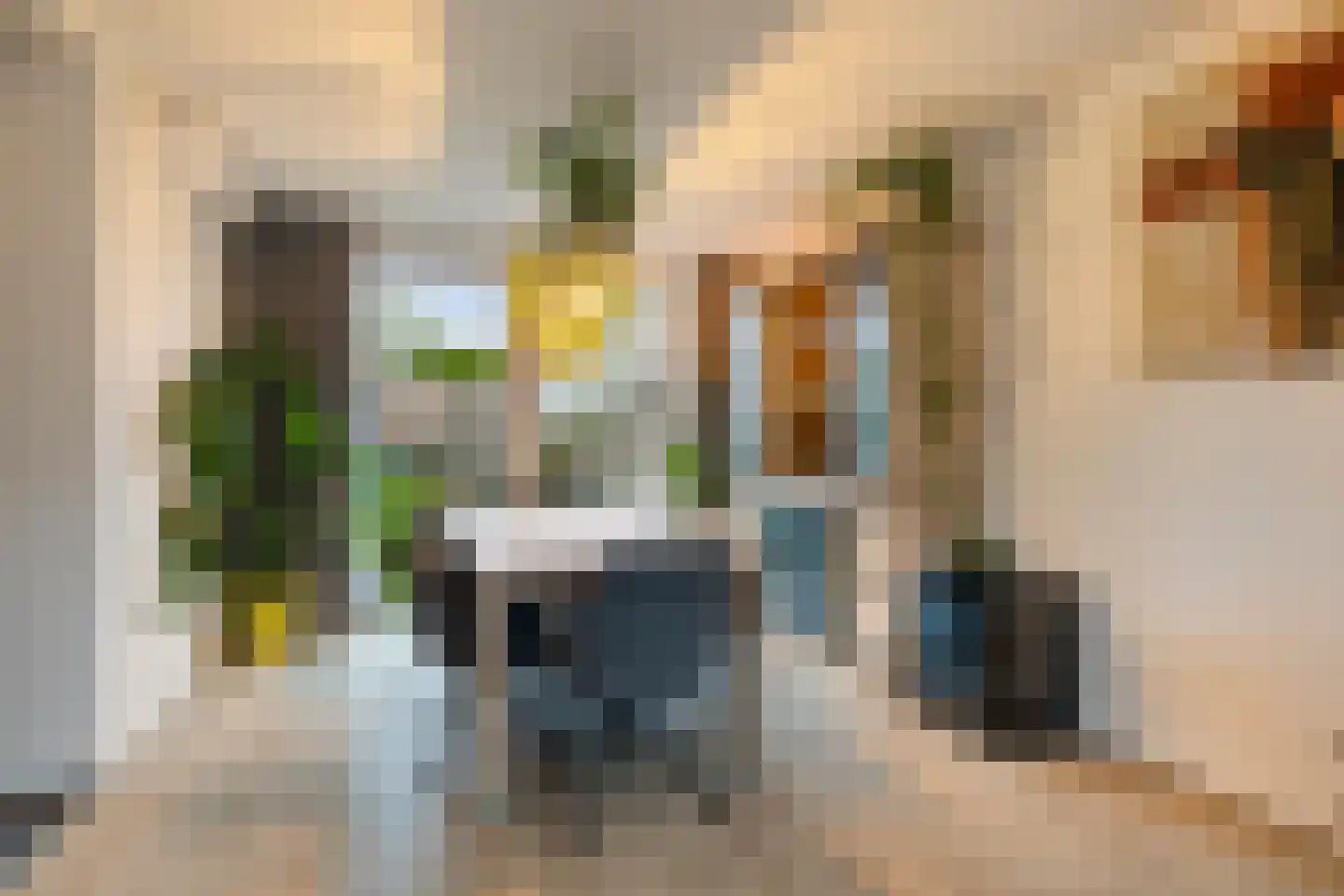 Strijenstraat 49 Oosterhout thumbnail 12