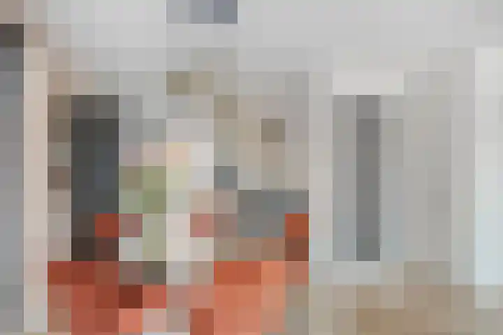 Strijkmolen 21 Zwolle thumbnail 15