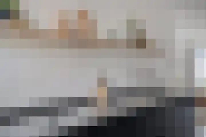 Strijkmolen 21 Zwolle thumbnail 19