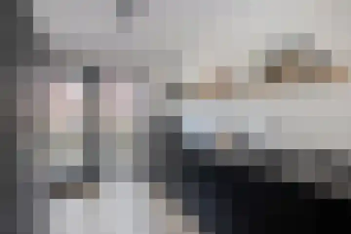 Strijkmolen 21 Zwolle thumbnail 21