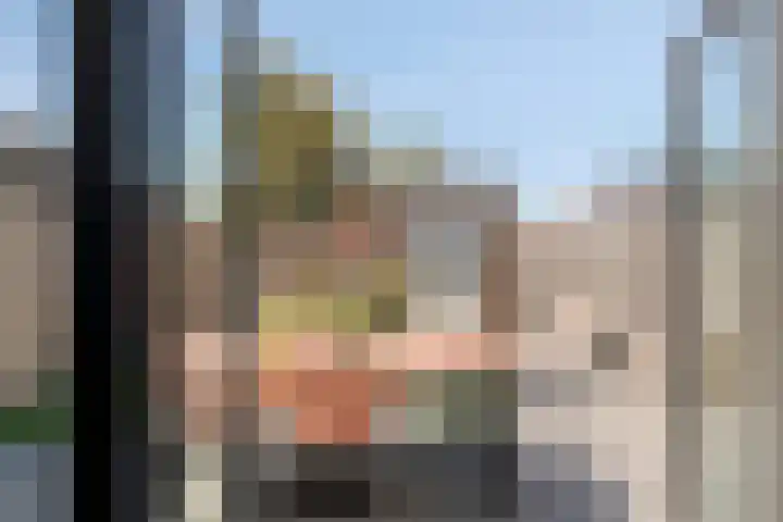 Strijkmolen 21 Zwolle thumbnail 22