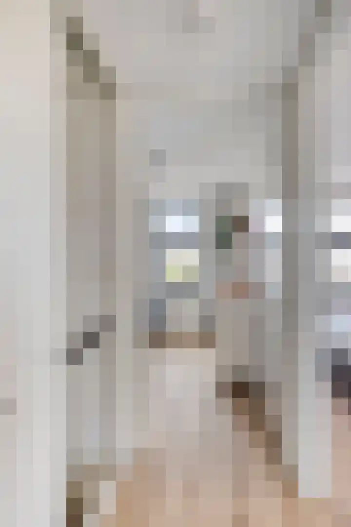 Strijkmolen 21 Zwolle thumbnail 33