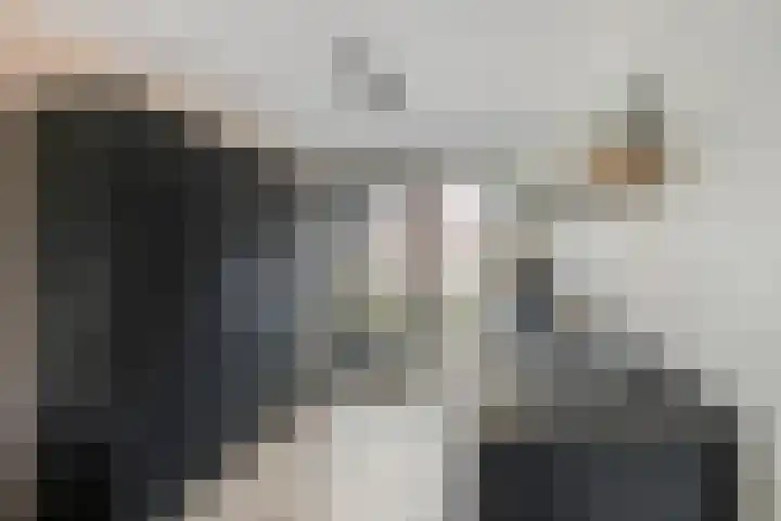 Strijkmolen 21 Zwolle thumbnail 4