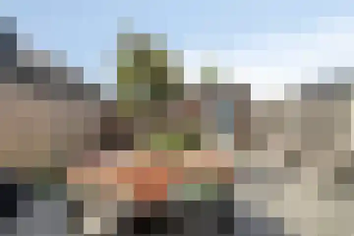 Strijkmolen 21 Zwolle thumbnail 44