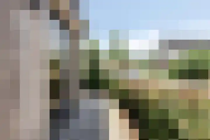 Strijkmolen 21 Zwolle thumbnail 45