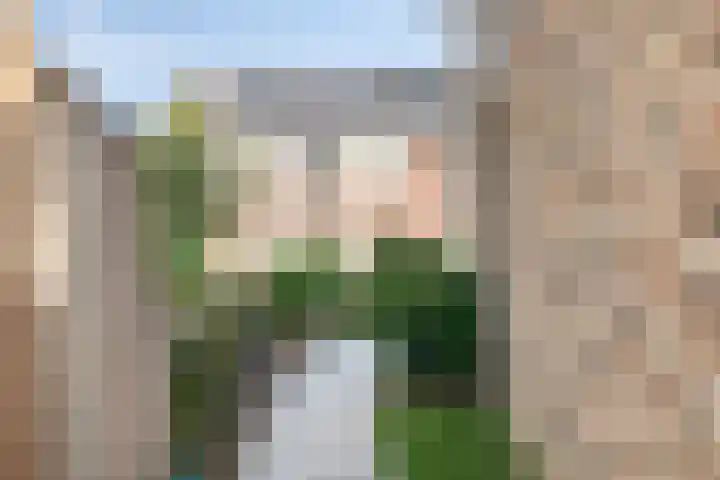 Strijkmolen 21 Zwolle thumbnail 46