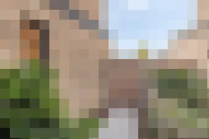 Strijkmolen 21 Zwolle thumbnail 47